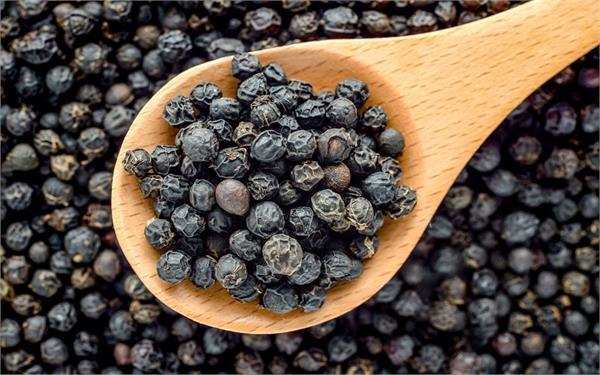Benefits of Black pepper: आपको काली मिर्च के फायदे पता होना चाहिए