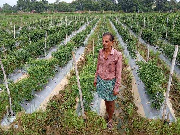 Madhya Pradesh के सब्जी उत्पादक किसानों को समर्थन मूल्य दिलाने की कवायद