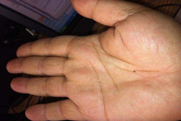 हस्तरेखा: जानिए शुक्र पर्वत की विशेषता एवं इसका कार्य