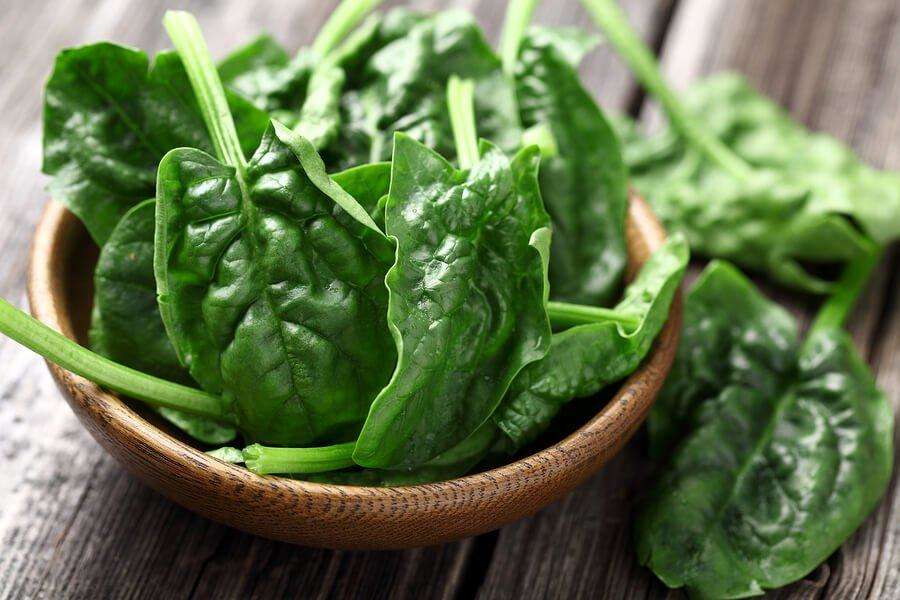 Benefits of spinach:शरीर को रोगों से दूर रखने के लिए, डाइट में करें पालक को शामिल