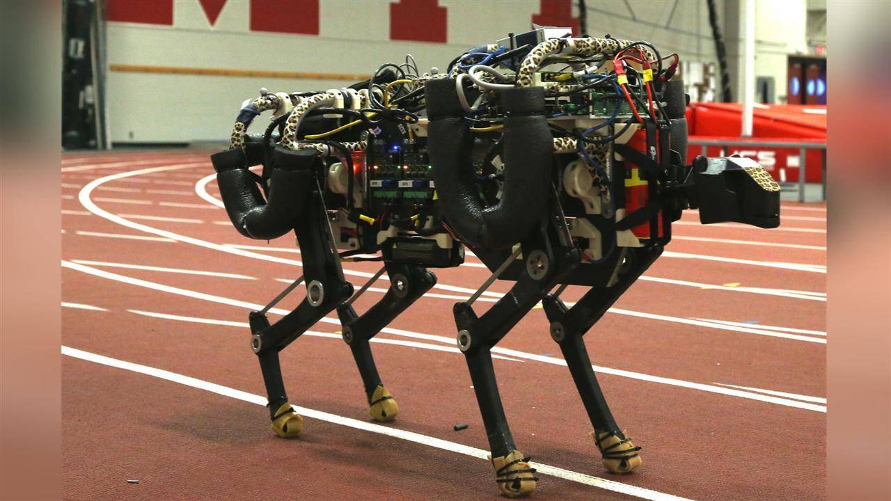Самая главная задача при создании шагающих роботов. Бостон Дайнемикс Cheetah. Cheetah Boston Dynamics. Шагающий робот. Шагающий мобильный робот.