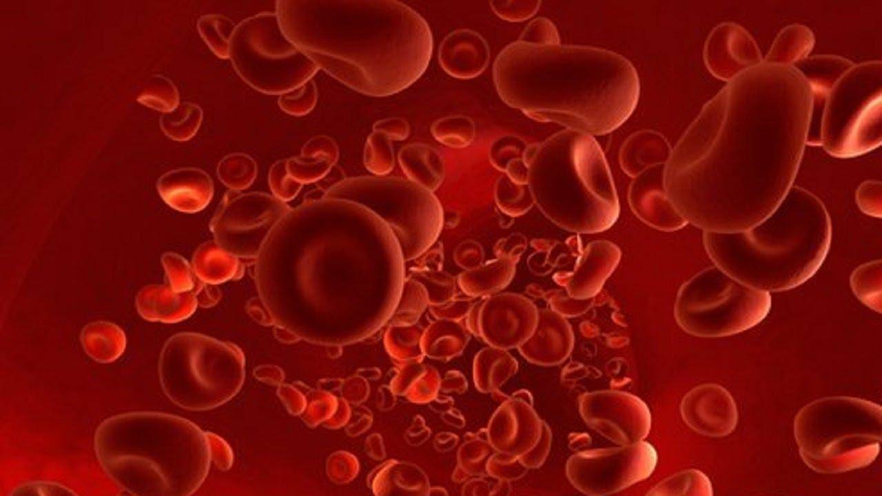 खून की जांच हर  महीने में आखिर क्यों है जरुरी क्या कहता है ब्लड टेस्ट 