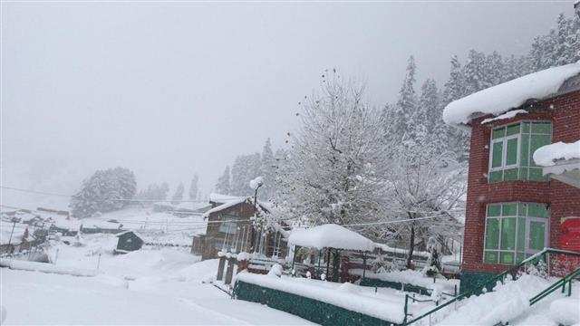 Kashmir के मैदानी इलाकों में मौसम की पहली बर्फबारी