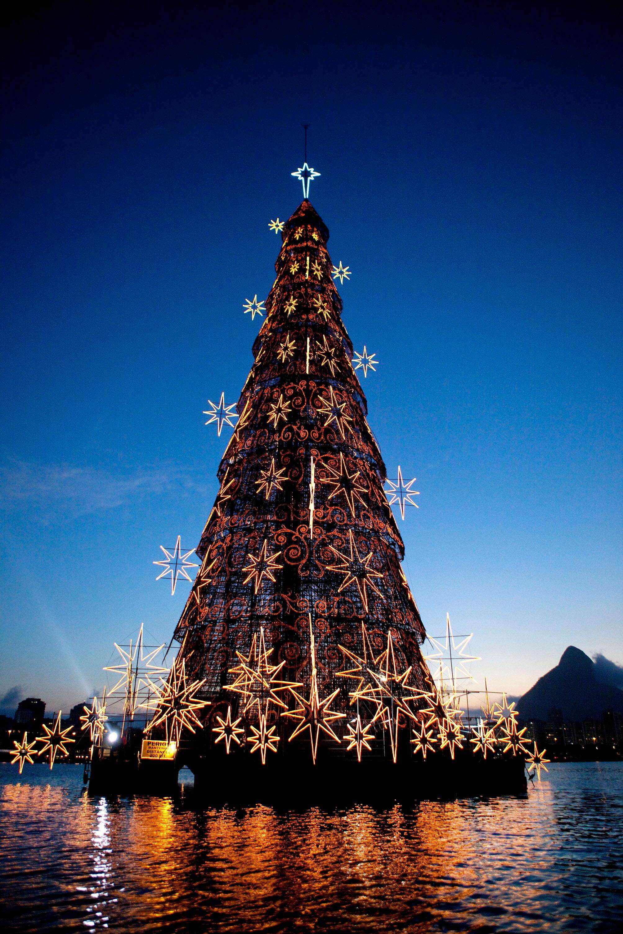 देखें दुनिया के रंग-बिरंगे क्रिसमस ट्री को, आपका फेवरेट कौन है?