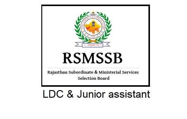 12वीं पास पाएं सरकारी नौकरी, RSMSSB ने निकाली 11255 पदों पर भर्ती