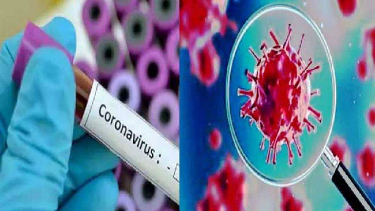 कोरोना वायरस के बढ़ते प्रकोप के देख गांगुली ने सरकार को दिया ऑफर