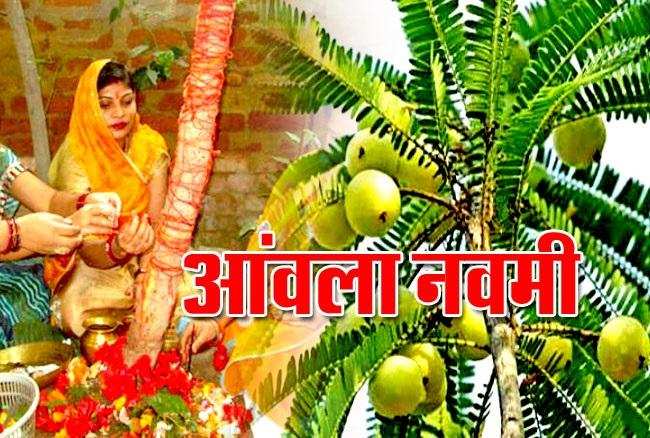 Amalaki ekadashi vrat 2021: कब है आमलकी एकादशी, जानिए इस दिन क्यों होती है आंवले के पेड़ की पूजा