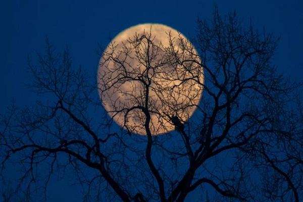 21 जनवरी को साल का पहला चंद्रग्रहण, इन राशियों पर दिखेगा ज्यादा असर
