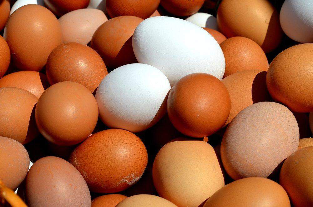 2 से अधिक अंडों का सेवन करना पद सकता है आपकी जन पर भारी 