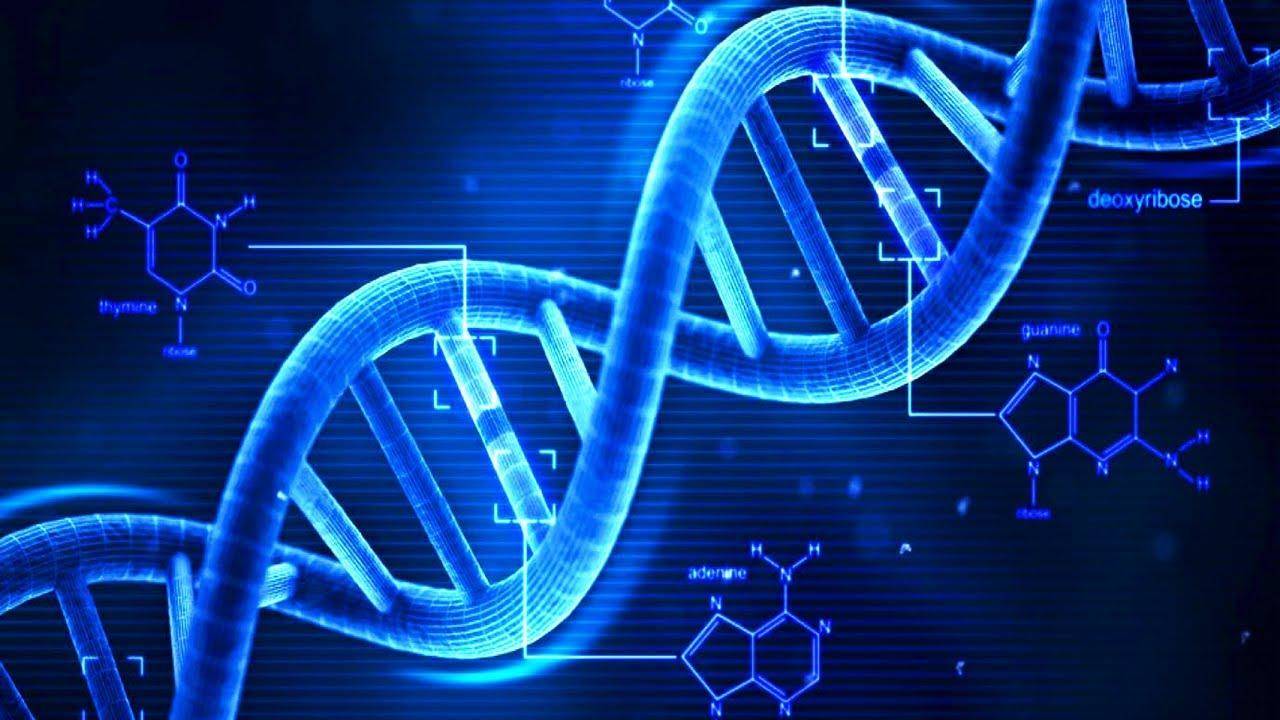 आपकी पहचान के अलावा डीएनए में मौजूद होती हैं ये महत्वपूर्ण जानकारियां