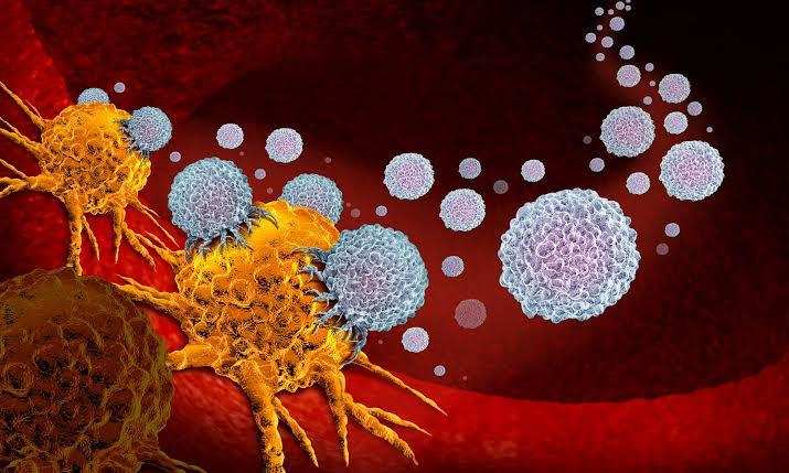 वैज्ञानिको ने दवा के मिश्रण से बनाया कैंसर सेल्स रोकने वाला म्यूटेशन