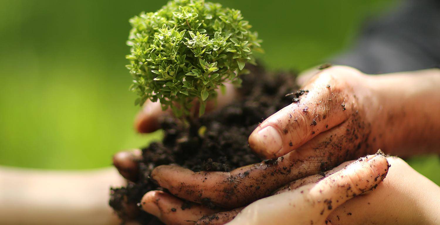 वैज्ञानिकों ने बताया मिट्टी को बच्चों के लिए फायदेमंद