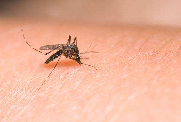मच्छर काटने से क्यों होती है तेज खुजली जानिये इसका कारण