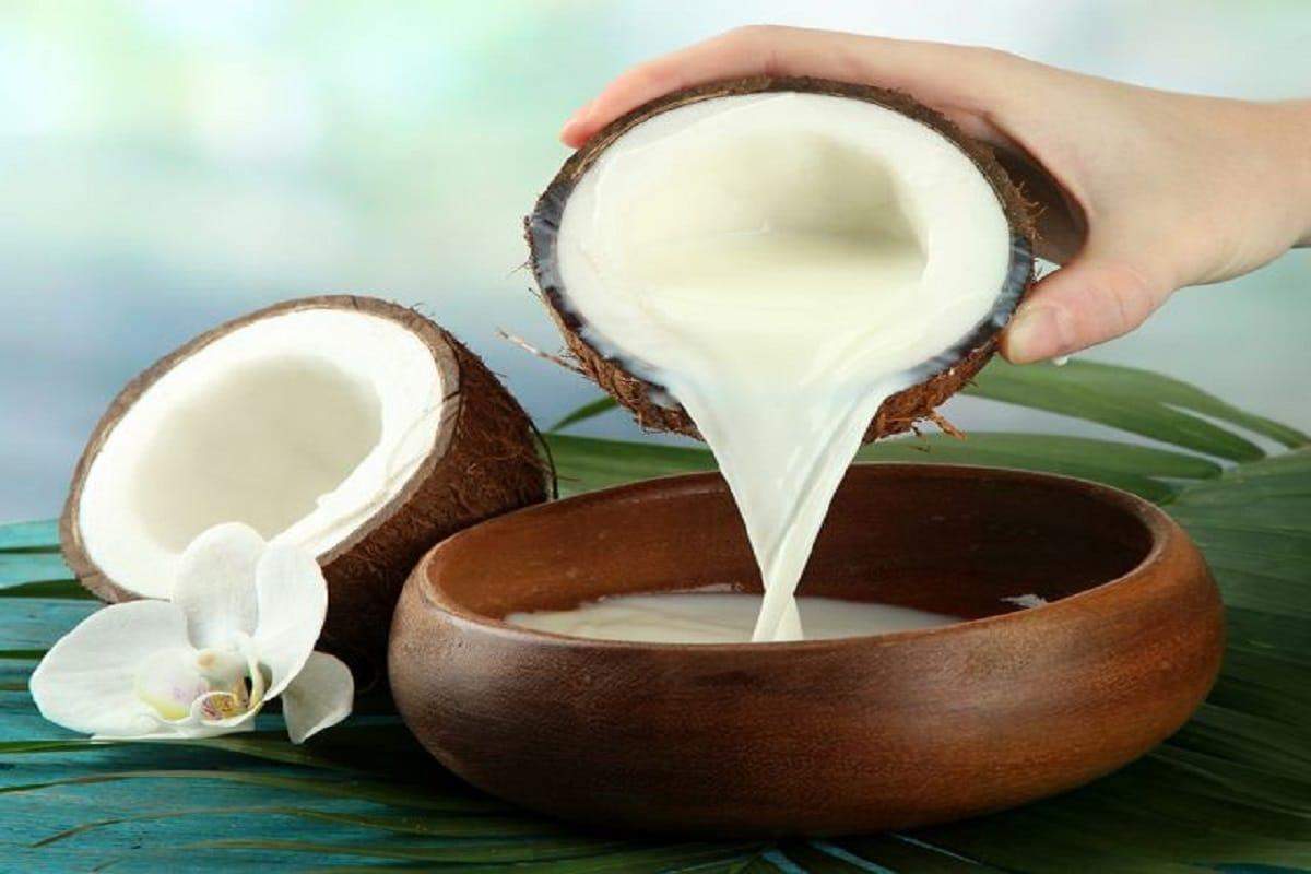 हेल्थ टिप्स: क्या नारियल का दूध आपके आहार में शामिल नहीं है? जानिए क्यों जरूरी शामिल करना