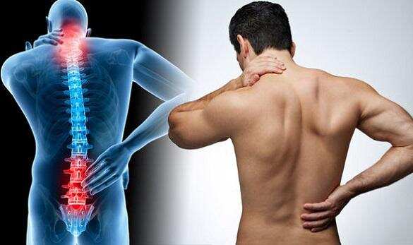 Back Pain: लगातार पीठ दर्द? आपके हाथ की हथेली में एक रणनीति है,आइये जानते हैं