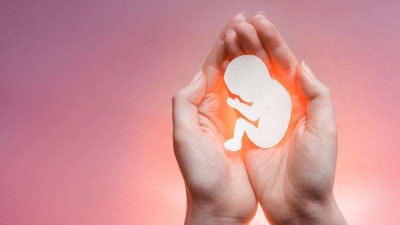 Abortion: क्या गर्भपात कानूनी है? इस मामले में, पालन करने के नियम क्या हैं, विस्तार से जानें