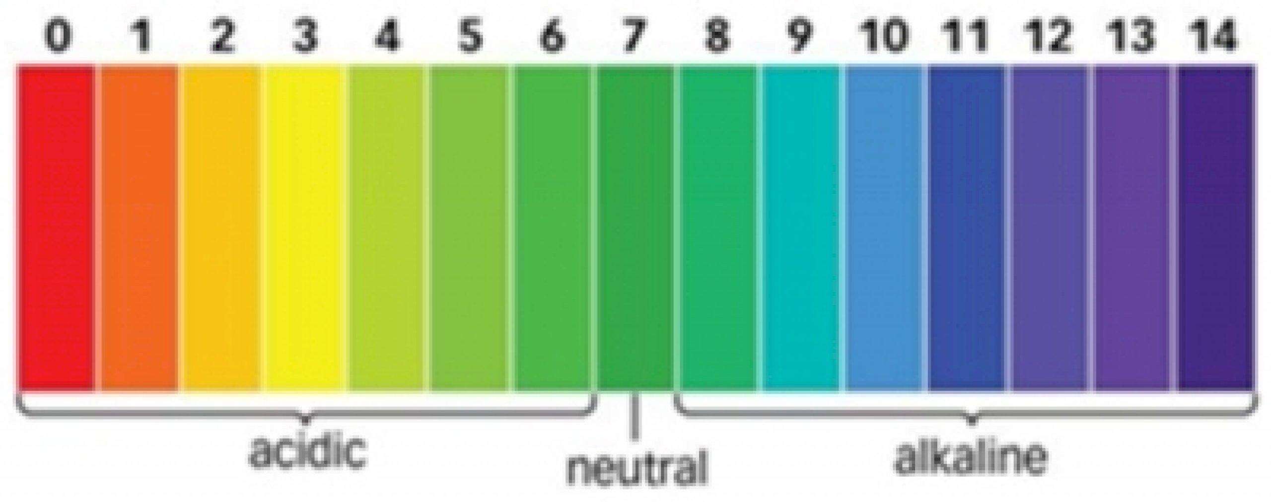 क्या PH 5.5 वास्तव में त्वचा के लिए महत्वपूर्ण है?