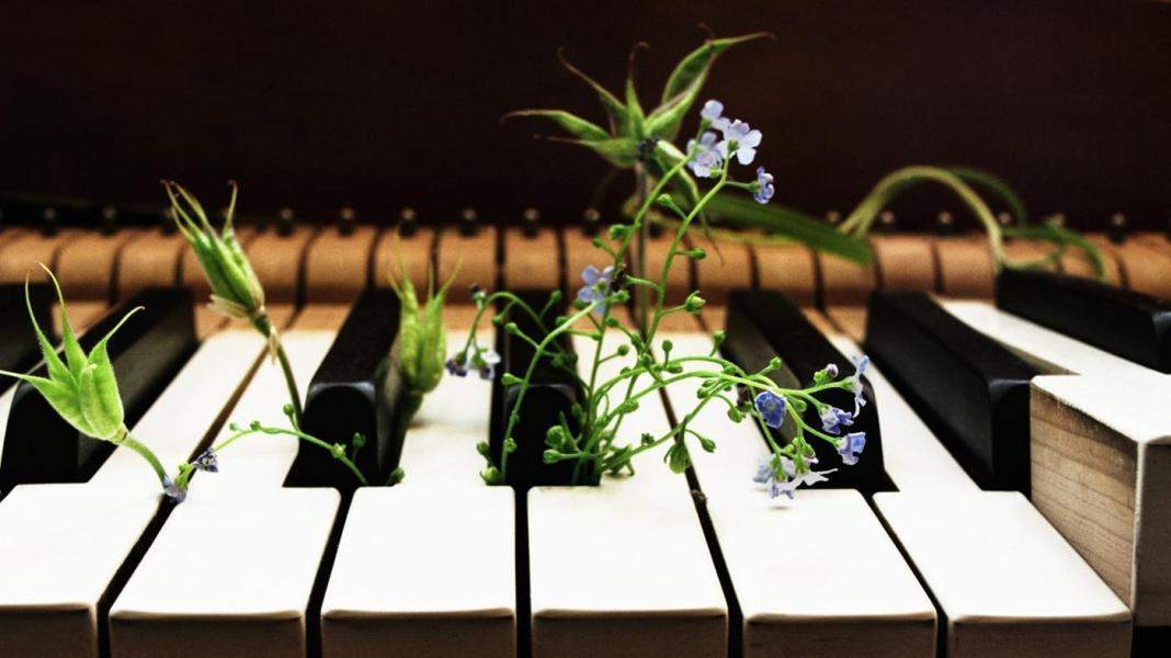 पौधे भी होते है संगीत के शौकीन, गाने सुनकर तेजी से बढ़ते हैं