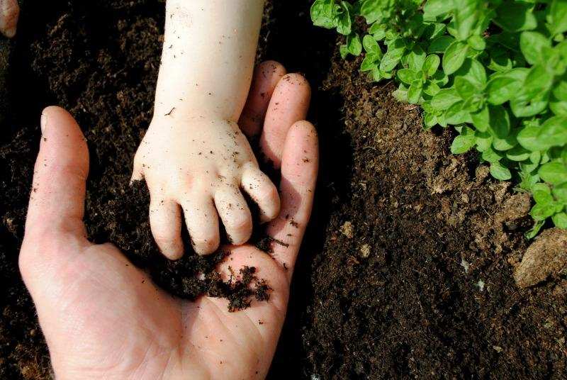 वैज्ञानिकों ने बताया मिट्टी को बच्चों के लिए फायदेमंद