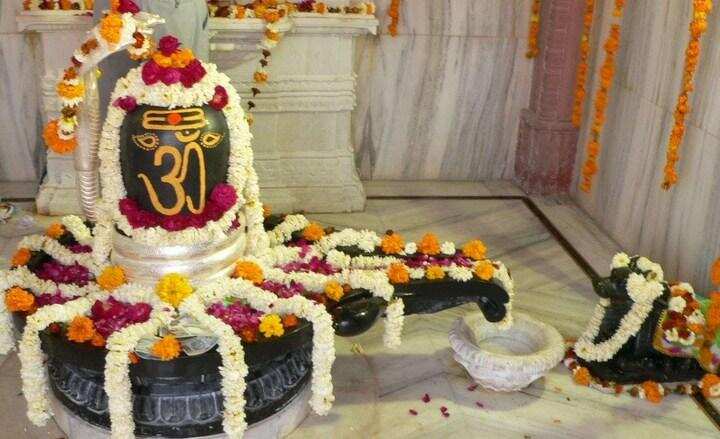 sawan 2024 do shivling rudrabhishek in by these things in sawan