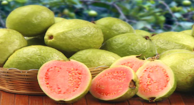 Guava seeds benefits: अमरूद के बीज खाने के इतने सारे फायदे जानकर हैरान रह जाएंगे आप