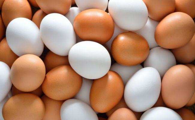 अंडे के सफेद हिस्से बनाई जायेगी कार्बन फ्री एनर्जी