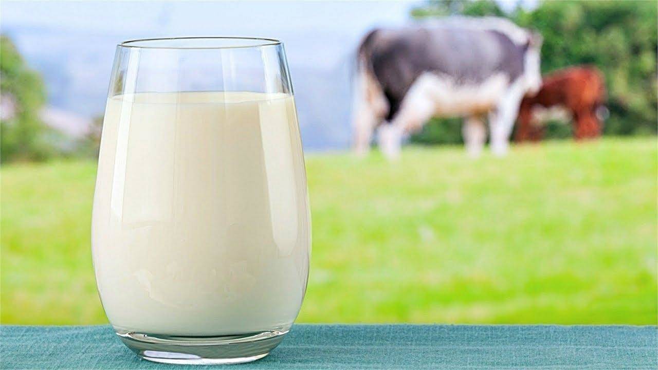 दूध पीते समय कभी भूलकर भी ना करे इस चीज का सेवन, वरना हो जायेगी बीमारी