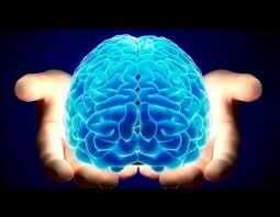जानिए – आखिर कितने GB का होता है इंसान का दिमाग, चौंक जाओगे पूरा पढ़कर