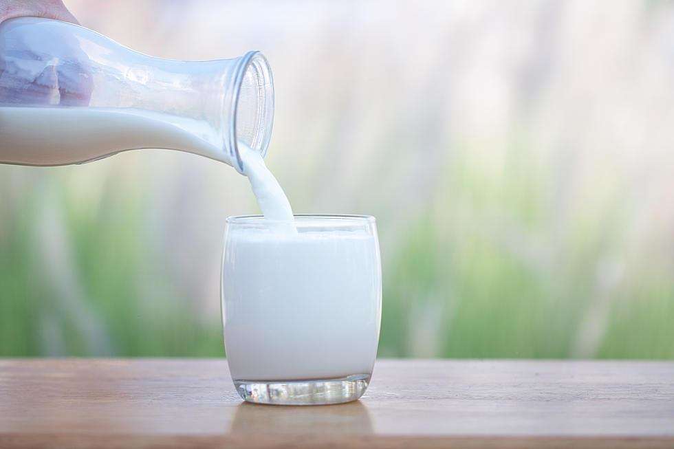 शरीर को स्वस्थ और रोगों से बचाने के लिए, आप करें प्रतिदिन दूध और शहद का सेवन