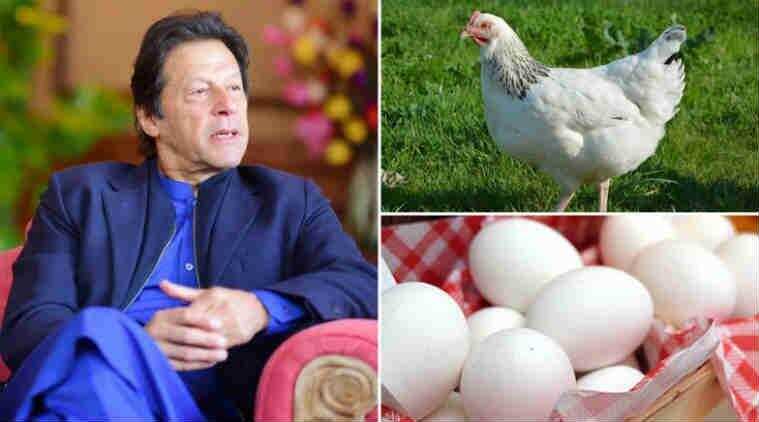 गरीबी के खिलाफ पाक का सर्जिकल स्ट्राइक -रोटी ,कपड़ा  ,मकान सरकार की जिम्मेदारी