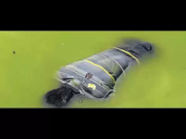 भीलवाड़ा : धांधाेलाई तालाब में तैरता मिला अधेड़ का शव, मोपेड भी मिली