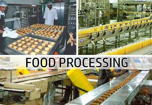 Food processing बना मील का पत्थर, 41 हजार से ज्यादा को मिला रोजगार