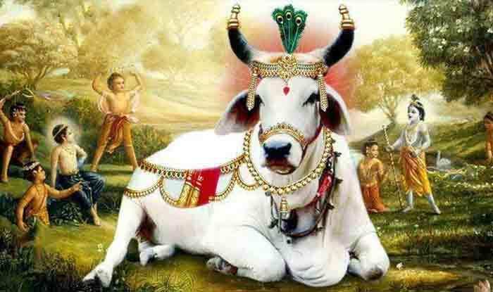 पोला पर्व विशेष: जानिए आखिर क्यों पड़ा इस विशेष पर्व का नाम पोला पर्व, पढ़ें दिलचस्प जानकारी