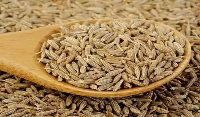 The miraculous benefits of cumin: जीरे के चमत्कारी फायदों के बारे में जरूर जानिए