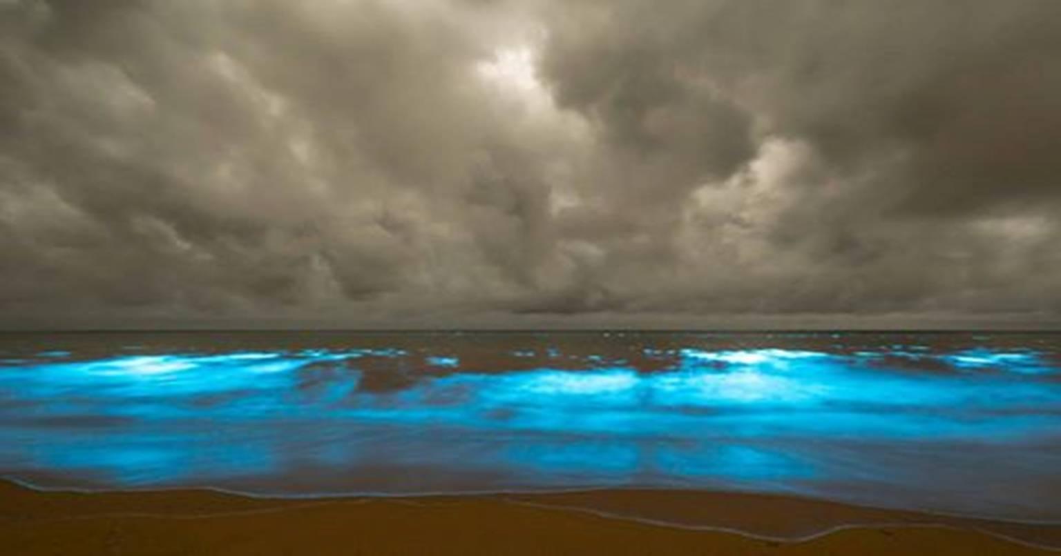 video: ये समुद्र शाम होते ही चमकने लग जाता है, चारों ओर फैल जाता है नीला रंग, ऐसा नजारा पहले कभी नहीं देखा होगा, जानिए क्यों होता है ऐसा!