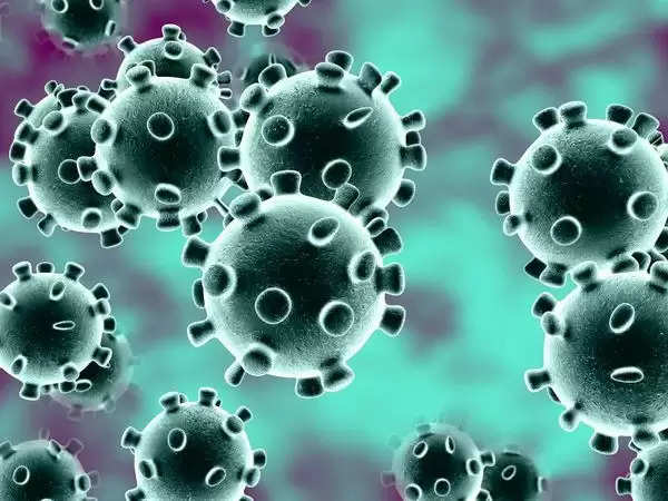 झुंझुनू : संक्रमण 2% से नीचे आया, दूसरे सप्ताह में 146 केस मिले, केवल एक मौत