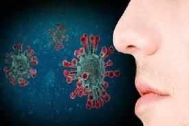 कोरोनावायरस: कोरोना रोगियों के लिए सूंघने की शक्ति एक अच्छा संकेत,जानें कैसें