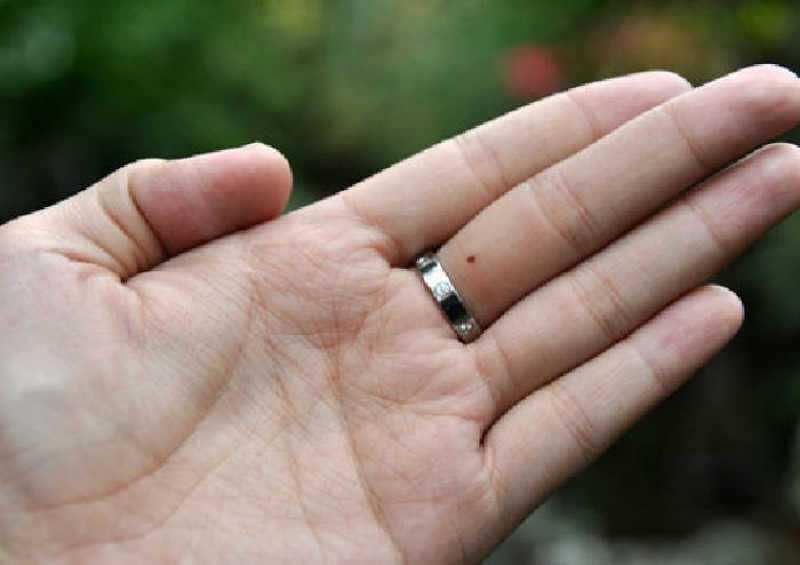 Palmistry: उंगलियों की बनावट से जानिए व्यक्ति का स्वभाव और भविष्य