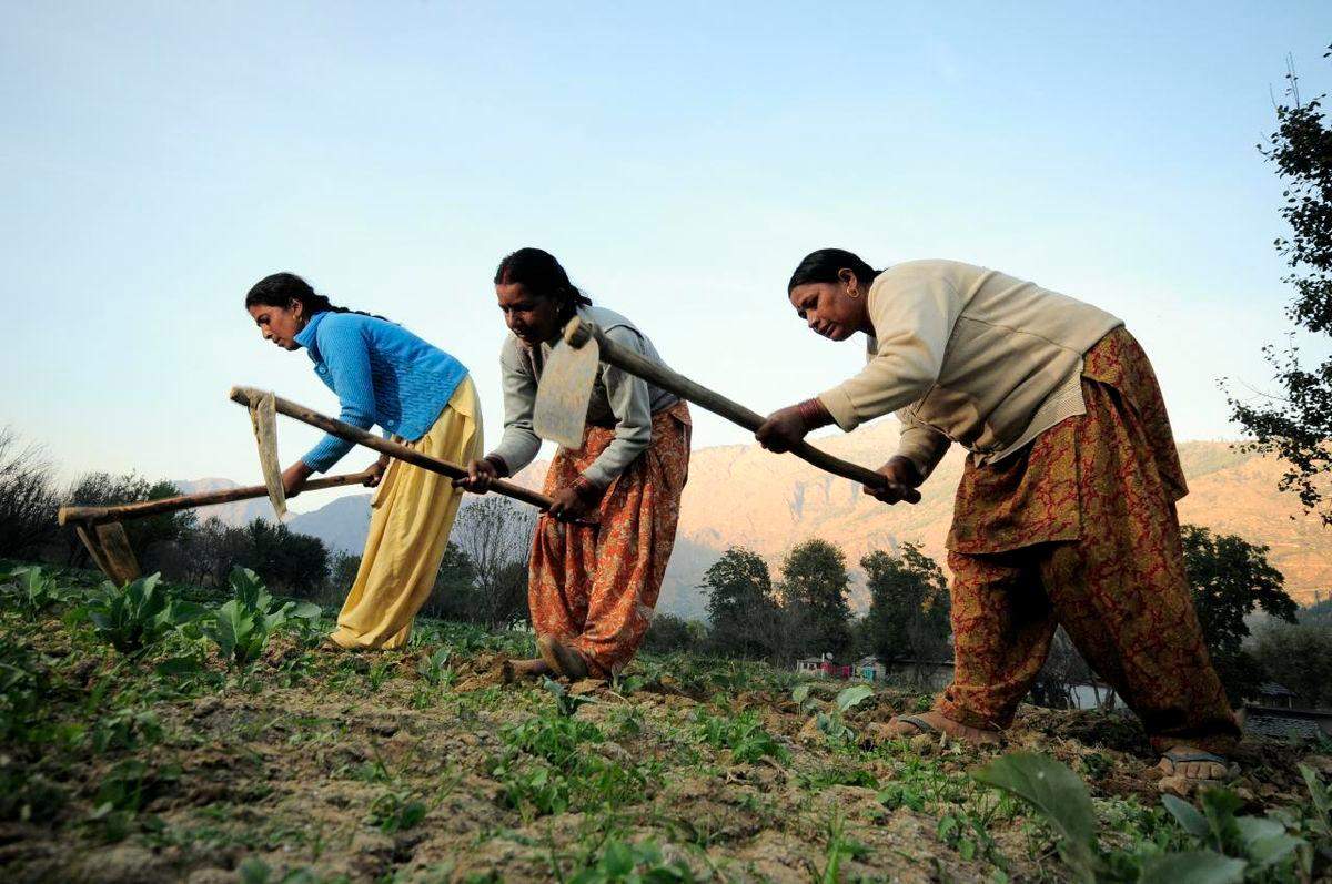 खेती-बाड़ी के क्षेत्र में महिलाओं का काफी योगदान है : Kailash Chaudhary