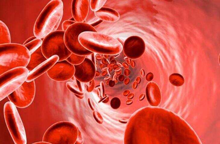 Hemoglobin : अगर आदत बदली गई तो हीमोग्लोबिन बढ़ेगा,पढ़ें पूरी खबर