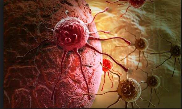 वैज्ञानिकों ने की कैंसर-रोधी प्रोटीन की खोज, जानिए इसके बारे में !
