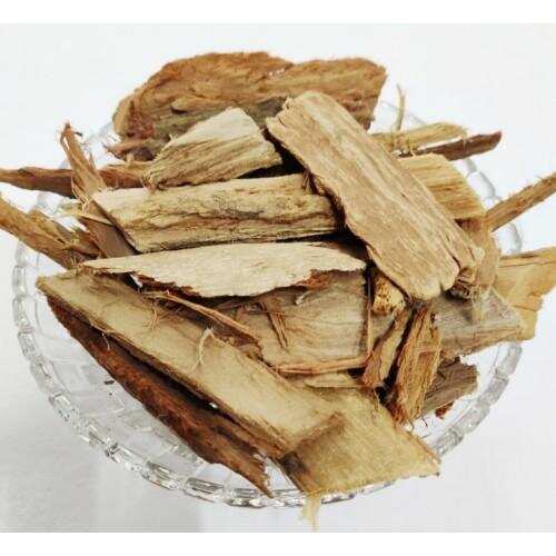 क्या आपको पता हैं कि अशोक की छाल जड़ी-बूटी का काम करती है, जानिए इसके फायदे