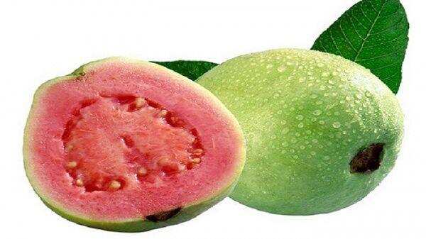 Guava seeds benefits: अमरूद के बीज खाने के इतने सारे फायदे जानकर हैरान रह जाएंगे आप