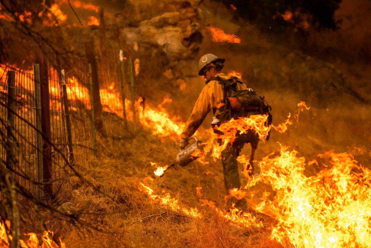 कैलिफ़ोर्निया में जंगल की आग तेजी से फैल रही है।