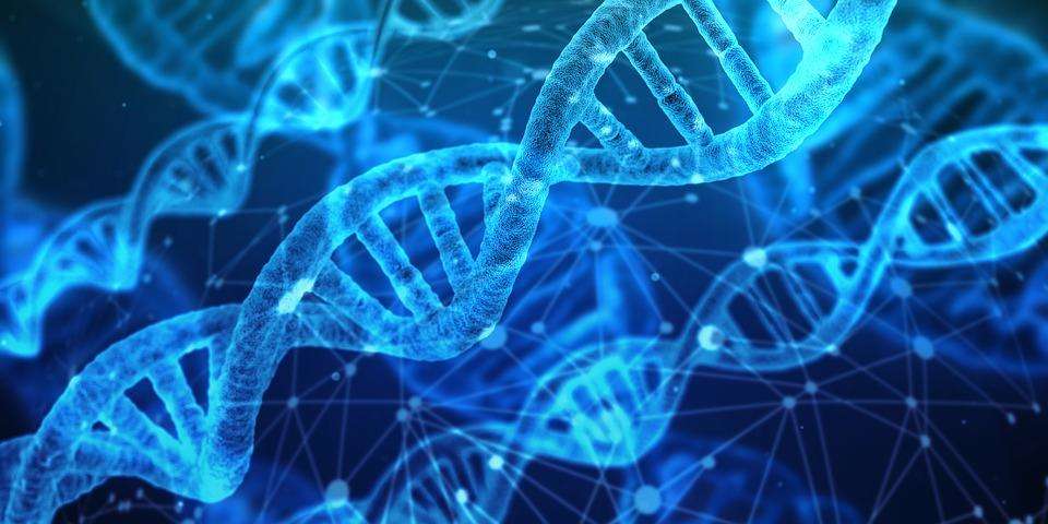 नये शोध में हुआ खुलासा, जीन बदलाव से मुमकिन है फेफड़ो से संबंधित रोगों का इलाज
