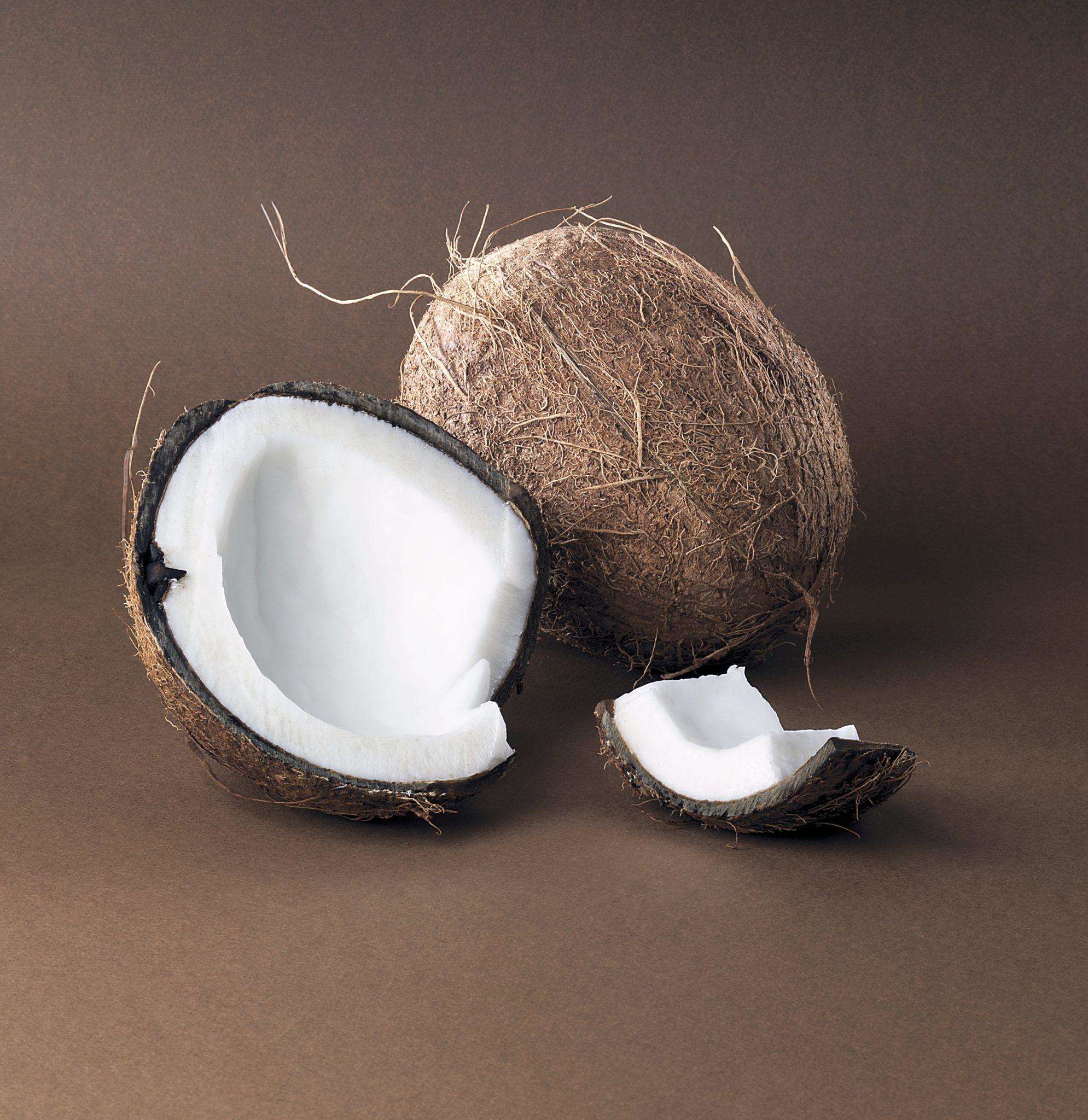 नारियल निकल जाए खराब तो खुल जाती है किस्मत