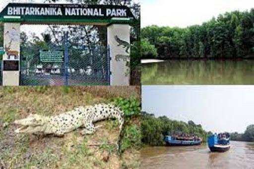 Odisha : भितरकनिका नेशनल पार्क पर्यटकों के लिए फिर से खुला