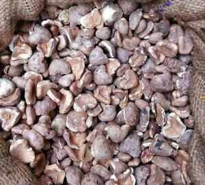 सिंघाड़ा खाने से क्या होते हैं फायदे