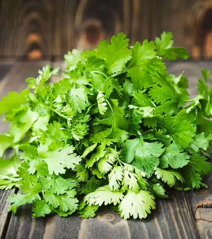 coriander leaves:धनिया पत्ती के कुछ खास फायदे,आपको पता होना चाहिए