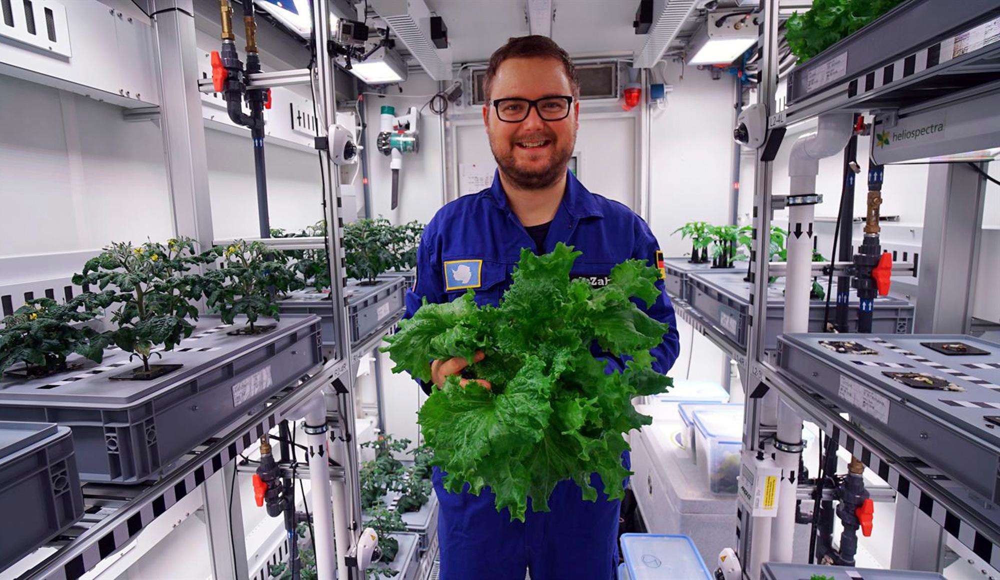 अंटार्कटिका में खास तकनीक की मदद से उगाई गई हरी सब्जियां